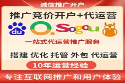 百度竞价广告成功案例：如何实现ROI最大化